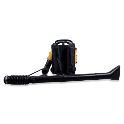 Изображение Бензовоздуходувка Champion GBR357